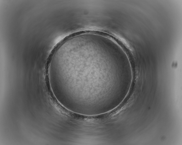 X0000090781264200707201516