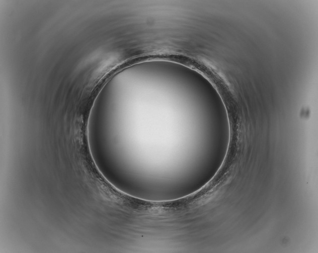 X0000090781265200707201516