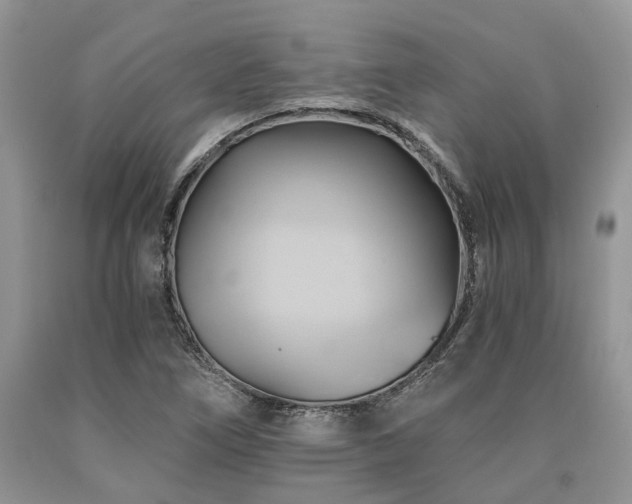 X0000090781266200707201516