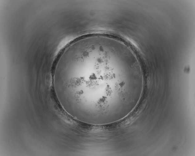 X0000090781267200707201516