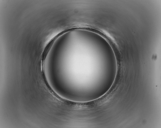 X0000090781269200707201516