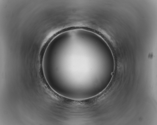 X0000090781270200707201516