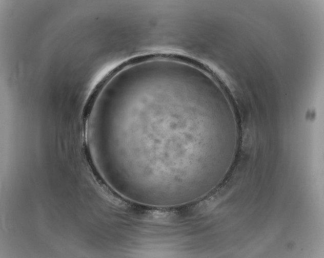 X0000090781271200707201516