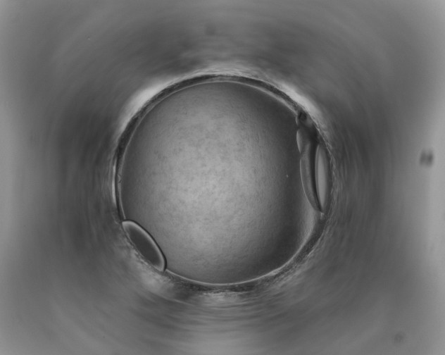 X0000090781272200707201516
