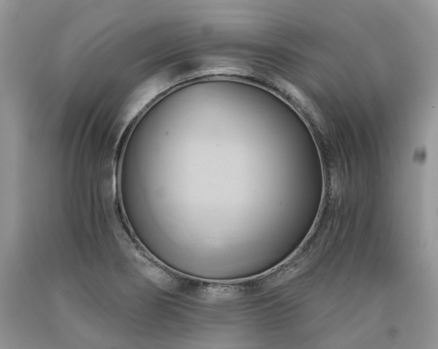 X0000090781274200707201516