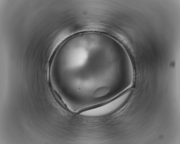 X0000090781275200707201516