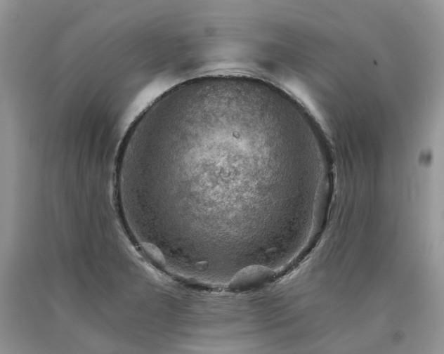 X0000090781277200707201516