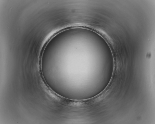 X0000090781278200707201516