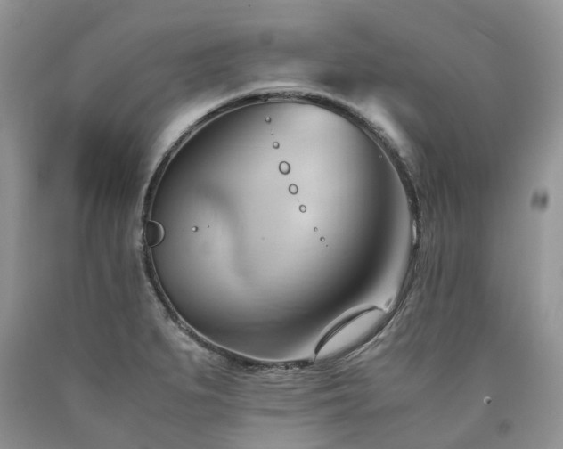 X0000090781279200707201516
