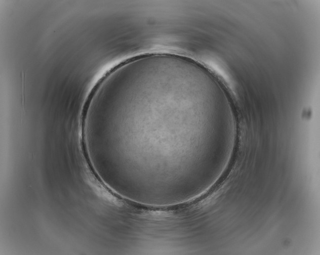 X0000090781280200707201516
