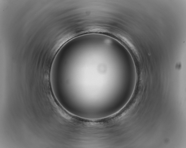 X0000090781281200707201516