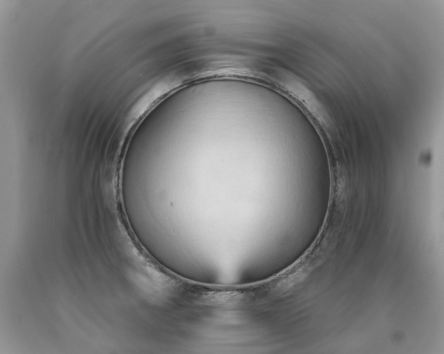X0000090781282200707201516