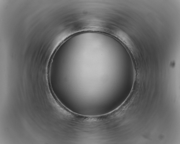 X0000090781283200707201516