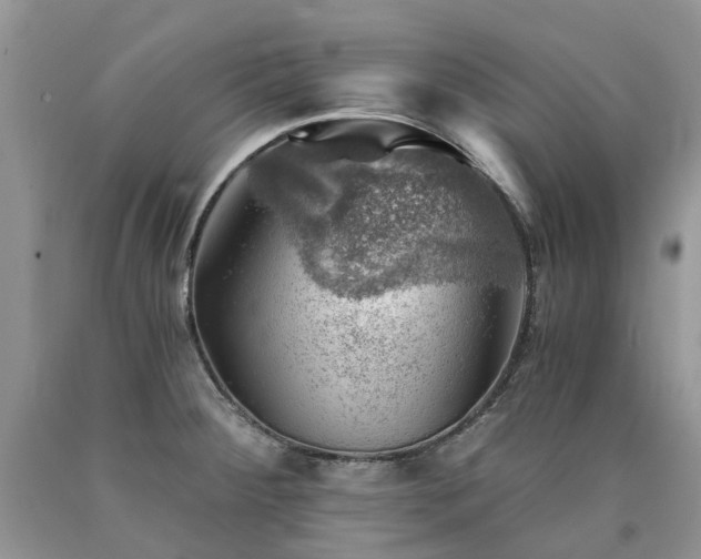 X0000090781284200707201516