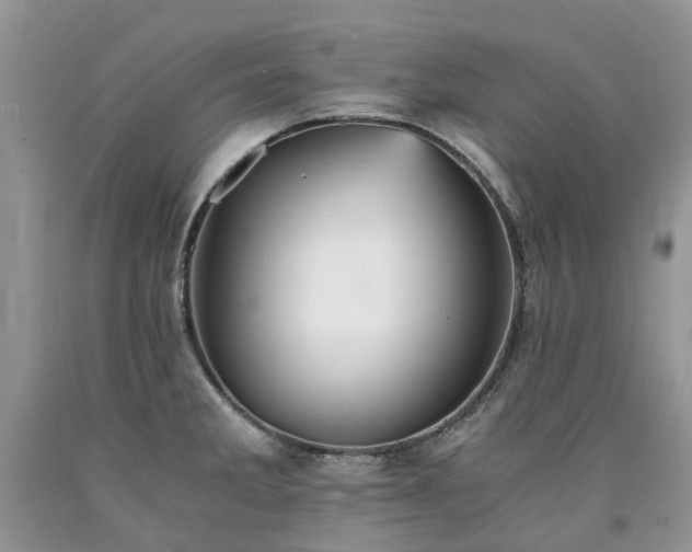 X0000090781285200707201516