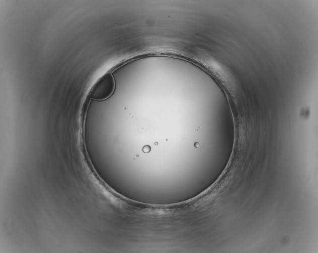 X0000090781286200707201516