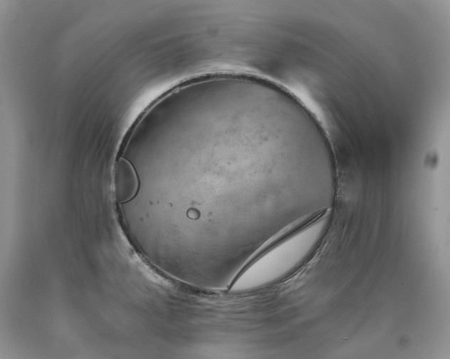 X0000090781287200707201516
