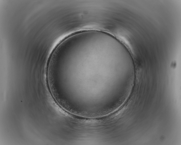 X0000090781288200707201516