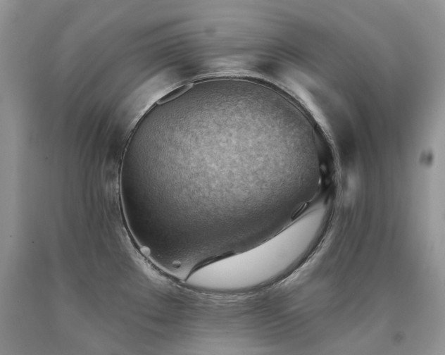 X0000090781289200707201516