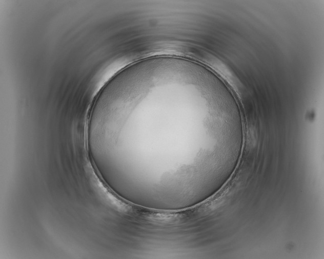 X0000090781290200707201516