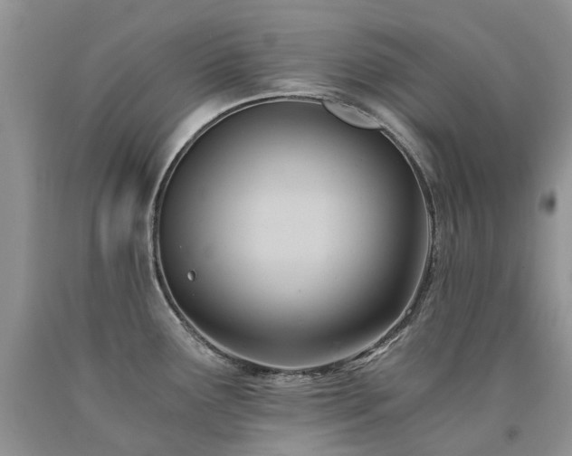X0000090781291200707201516