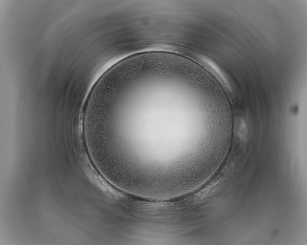 X0000090781292200707201516