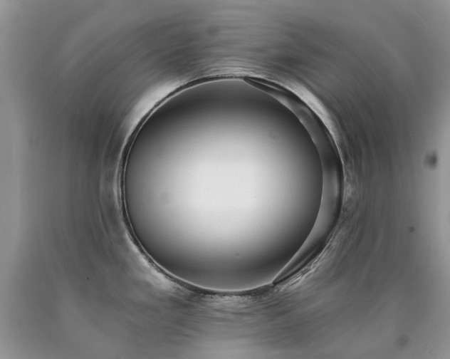 X0000090781293200707201516
