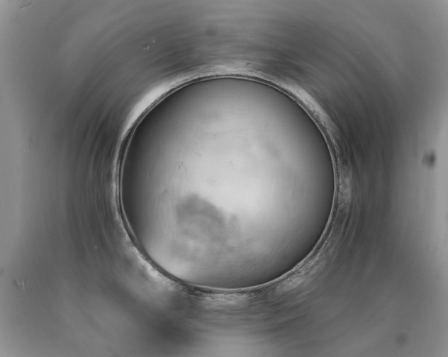X0000090781294200707201516