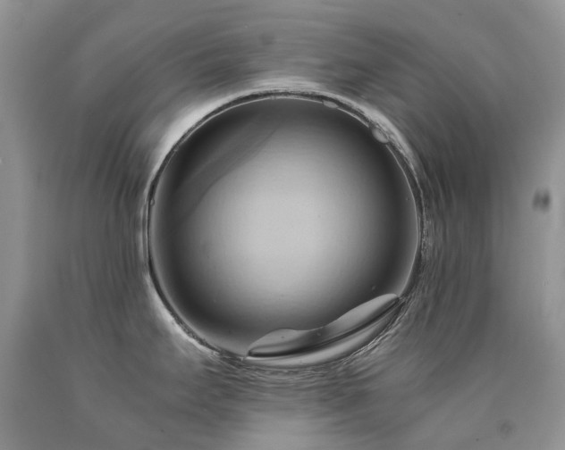 X0000090781295200707201516