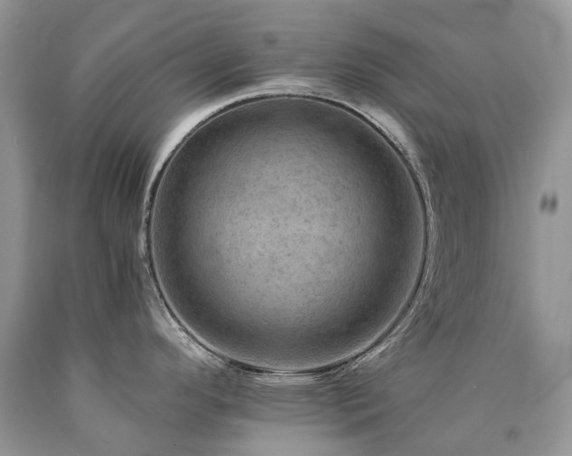 X0000090781296200707201516