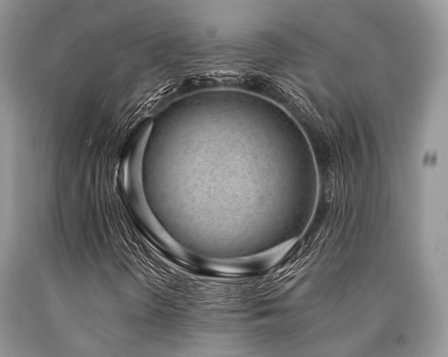X0000090781298200707201515