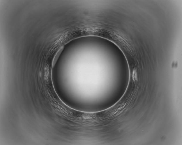 X0000090781299200707201515