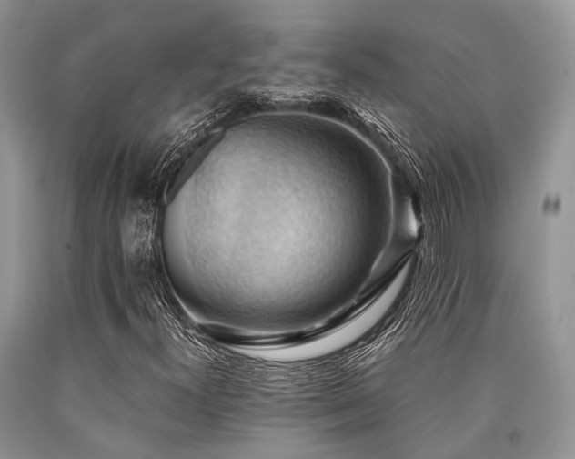 X0000090781300200707201515
