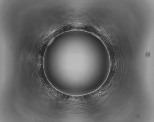 X0000090781301200707201515