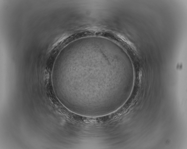 X0000090781302200707201515