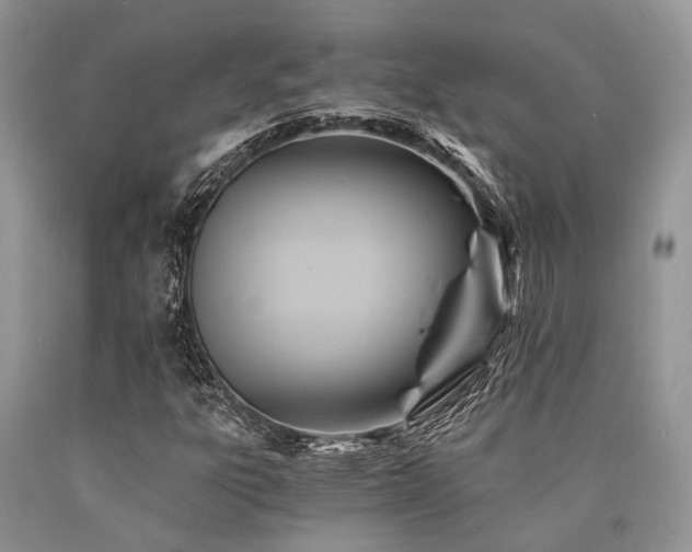 X0000090781303200707201515
