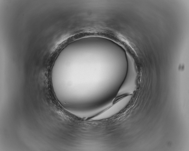 X0000090781304200707201515