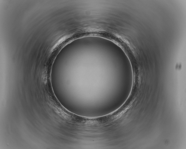 X0000090781306200707201515