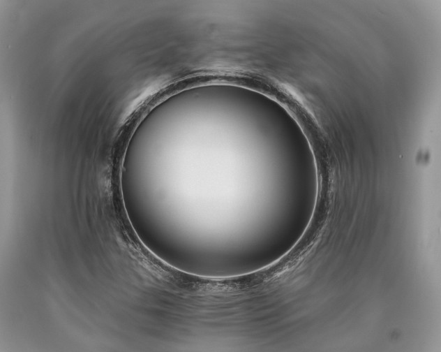 X0000090781307200707201515
