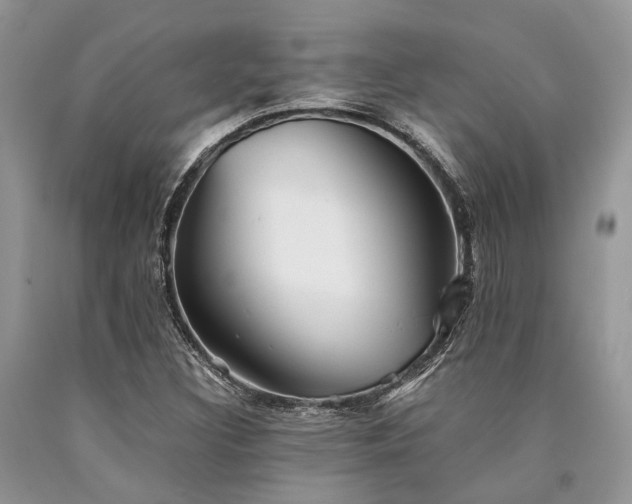 X0000090781308200707201515
