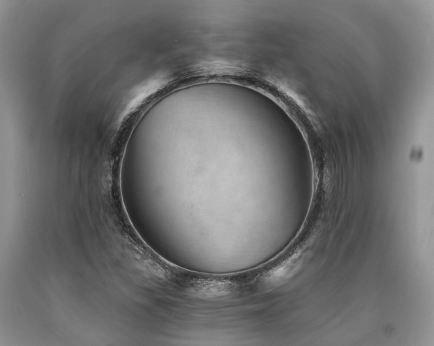 X0000090781309200707201515