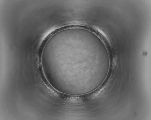 X0000090781310200707201515