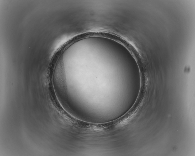 X0000090781311200707201515