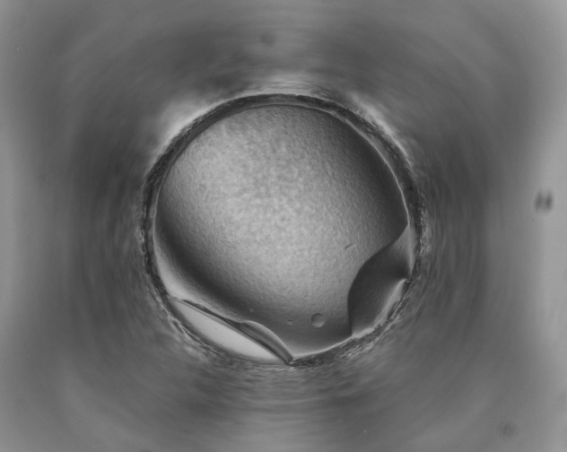 X0000090781312200707201515
