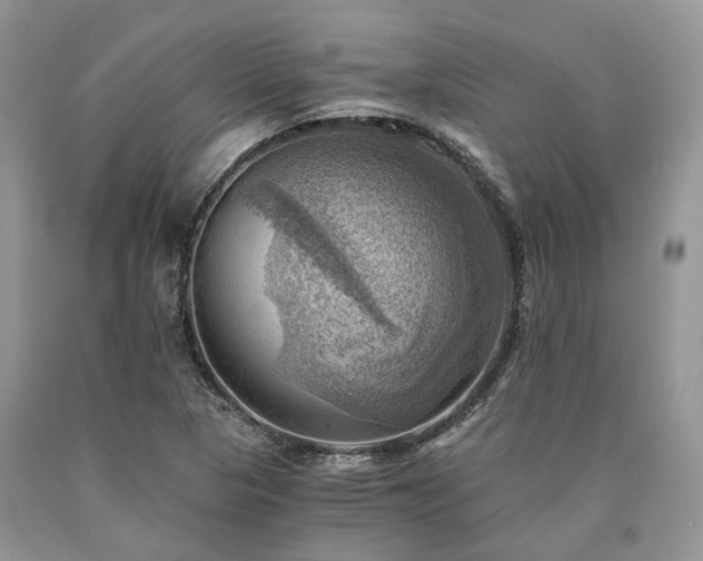 X0000090781313200707201515