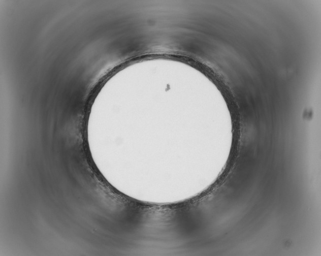 X0000090781314200707201515