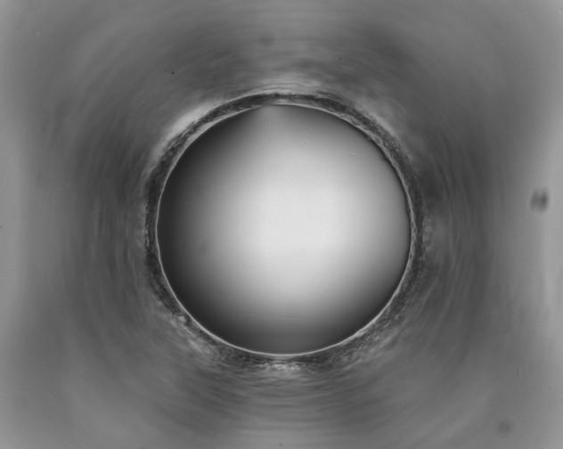 X0000090781315200707201515