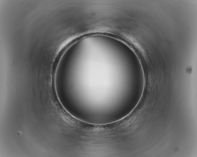 X0000090781316200707201515