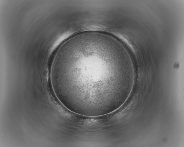 X0000090781317200707201515