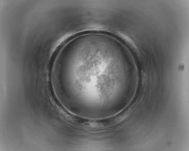 X0000090781318200707201516